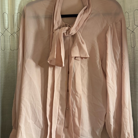 Chaus Women’s Sheer Blush Pink Long Sleeve Blouse - Picture 2 of 4